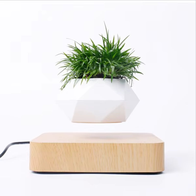 Floating Levitating Magnetic Plant Pot